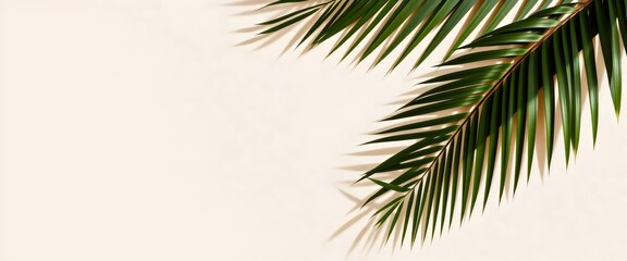 Tropical Palm Leaves: Minimalist Design on Beige Background for Summer and Spring Projects.