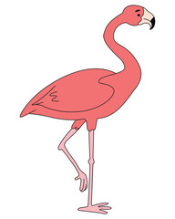 A cute flamingo isolated on white background