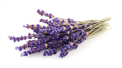 A vibrant bouquet of lavender flowers, showcasing their rich purple hues and delicate stems, perfect for decoration or aromatherapy.