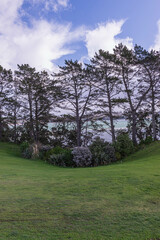 Framing Nature's Splendor: A Serene Lakeside Panorama