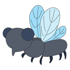 Cute housefly isolated on white background