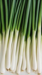 Fresh green onions arranged neatly on a white background showcasing their vibrant colors and textures