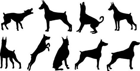 set of doberman vector silhouette