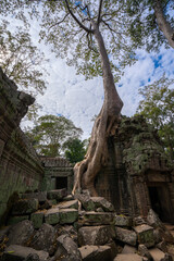 The remarkable symbiosis between nature and ancient architecture at the Ta Prohm Temple in Angkor Thom, Cambodia.