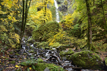 Starvation Creek Falls Near Hood River, Oregon, Taken in Autumn