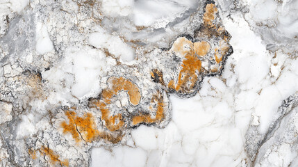 Fototapeta premium Beautiful natural stone surface with intricate patterns and colors in neutral tones