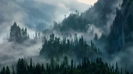 Wandcirkels Mistig bos Misty Mountain Landscape With Evergreen Trees  © irawan
