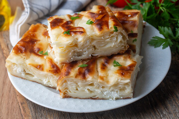 Delicious Turkish food; Tray pastry; (Turkish name; Su boregi)