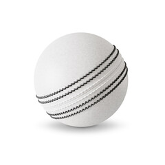 White cricket ball isolated on white background. 3d-rendering