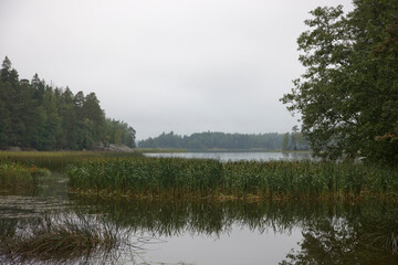 Russia Leningrad region Vyborg park Mon Repos on a cloudy summer day