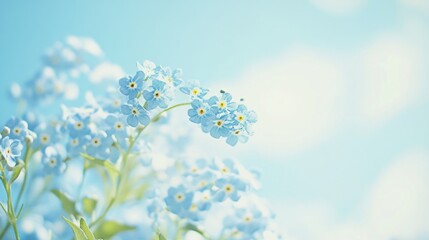 A cluster of delicate blue forget-me-nots on a soft sky blue background, artistic close-up shot, Minimalist style
