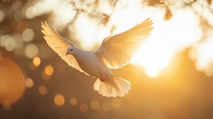 white dove in flight against a glowing sunset backdrop.