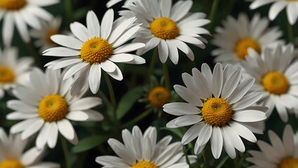 Fototapeta premium 3D render of a low-poly daisy with white petals and a yellow center.