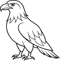 Obraz premium Eagle vector illustration
