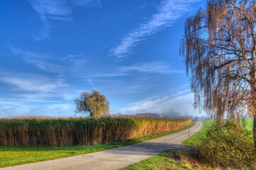 Wunderschöne Herbstlandschaft mit einem Feld und Bäumen bei blauem Himmel