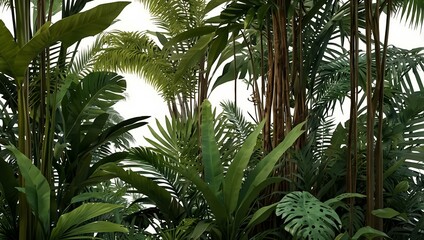 3D tropical vegetation against a white backdrop.