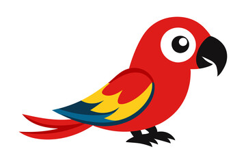 parrot on a white background