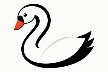 black swan on white background