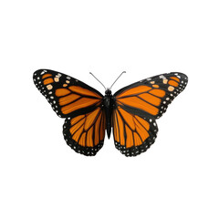 Vibrant monarch butterfly perched with open wings in nature  on  transported background 