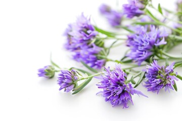 Fototapeta premium A group of purple flowers sitting on a clean white surface, great for decorating or design purposes