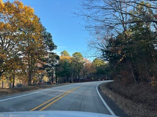 road in the forest