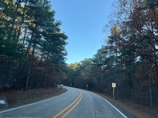 road in the forest