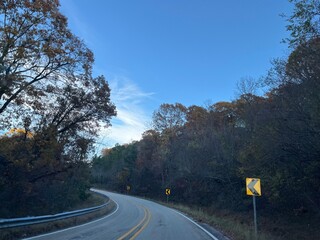 road in the forest