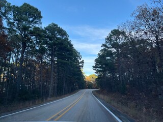 Fototapeta premium road in the forest