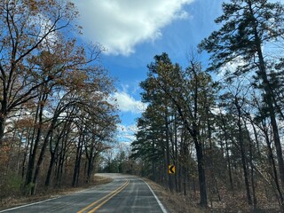 Fototapeta premium road in the forest