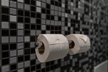 Two rolls of toilet paper displayed on a chrome holder in a modern bathroom setting.