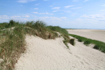 Dunes and beach, Minsener Oog