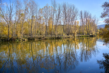 Simetría en el agua del Duero