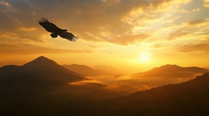 Fototapeta premium Eagle silhouette soaring over misty mountains at sunset.
