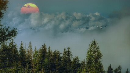 Die rot leuchtende Morgensonne über den Bergen in einem Nebel- und Wolkenband mit Bäumen im Vordergrund