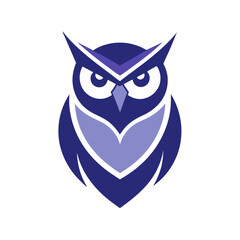 owl on white background