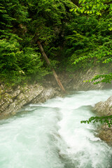 Beautiful Vintgar canyon in Slovenia