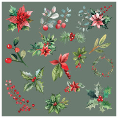 Festive Botanical Watercolor Collection Featuring Holly, Poinsettia, and Berries