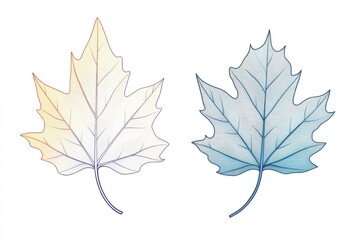 Fototapeta premium Two intricately illustrated leaves, one in warm tones and the other in cool hues, showcasing nature's diversity.