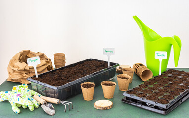 Planting tomato and pepper seeds in plastic containers and eco-pots