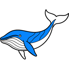 illustration of whale