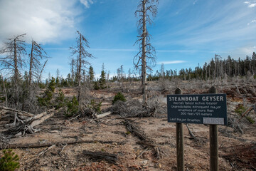 Yellowstone National Park, Wyoming, USA