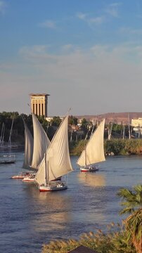 Beautiful landscape with felucca boats on Nile river in Aswan at sunset, Egypt. Vertical video