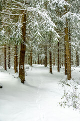 Eine winterliche Wanderung zum Bahnhof Rennsteig im verschneiten Thüringer Wald - Schmiedefeld -...