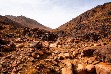 2024 03 12 Jebel Saghro Atlas rocks 36