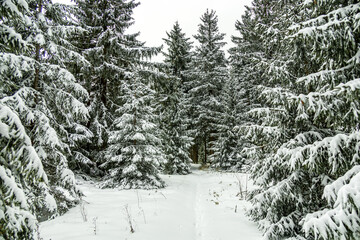 Eine winterliche Wanderung zum Bahnhof Rennsteig im verschneiten Thüringer Wald - Schmiedefeld - Thüringen - Deutschland