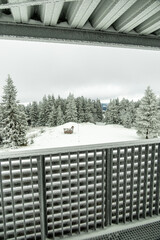Eine winterliche Wanderung zum Bahnhof Rennsteig im verschneiten Thüringer Wald - Schmiedefeld -...