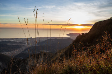 Silhouetted grasses on the Apuan Alps frame a stunning sunset over Carrara in Italy, with the city and the Mediterranean Sea in the distance