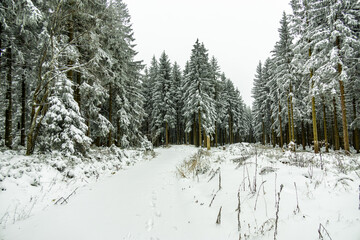 Eine winterliche Wanderung zum Bahnhof Rennsteig im verschneiten Thüringer Wald - Schmiedefeld -...