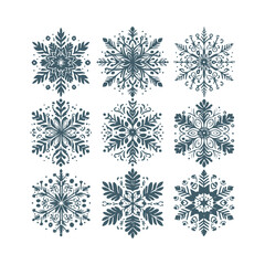 Fototapeta premium Set of Snowflakes Vector Art Illustration