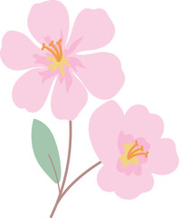 coquette Floral Groupings - Vibrant Bouquets and Blooming Gardens